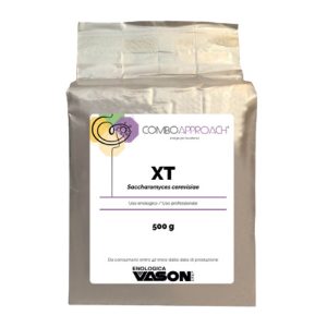XT